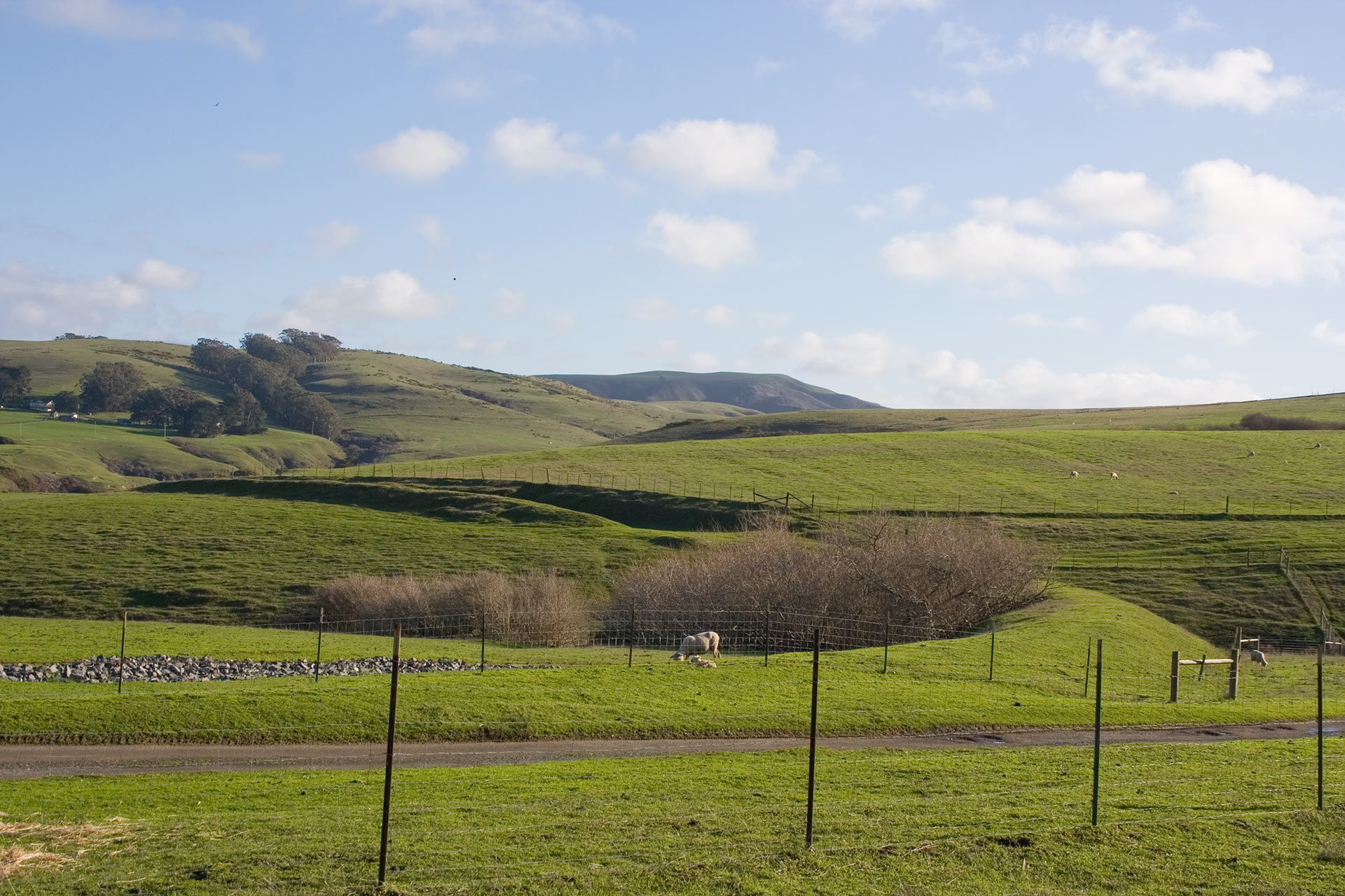 Tomales-Grade