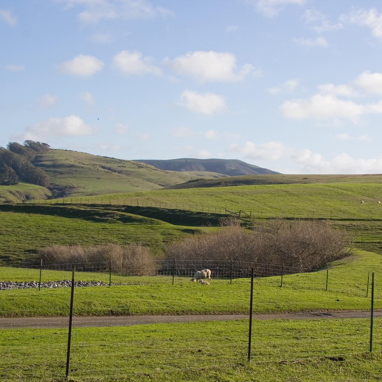 Tomales-Grade