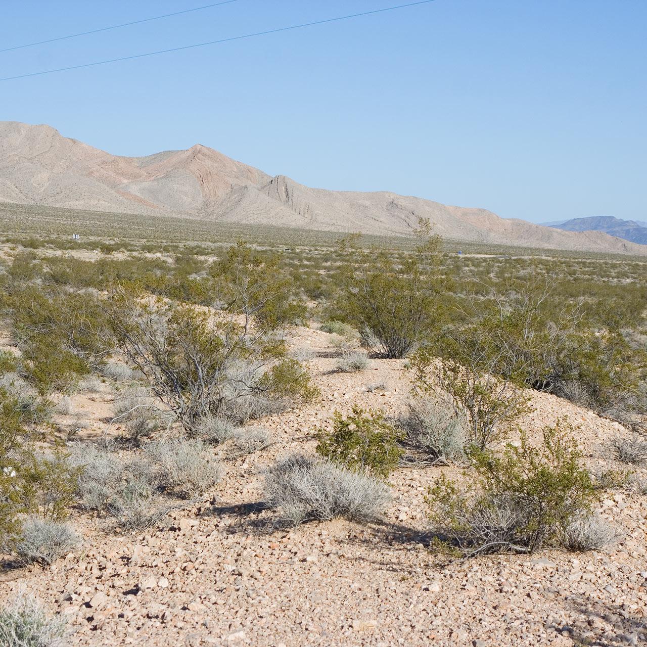 YPMCo-Grade-S-Road-1