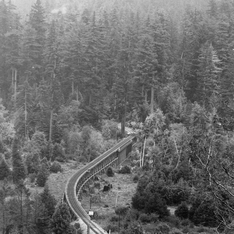 San Lorenzo River Bridge looking towards Big Trees