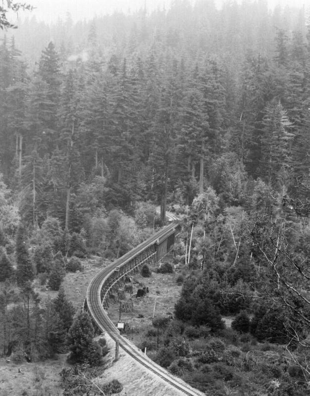 San Lorenzo River Bridge looking towards Big Trees