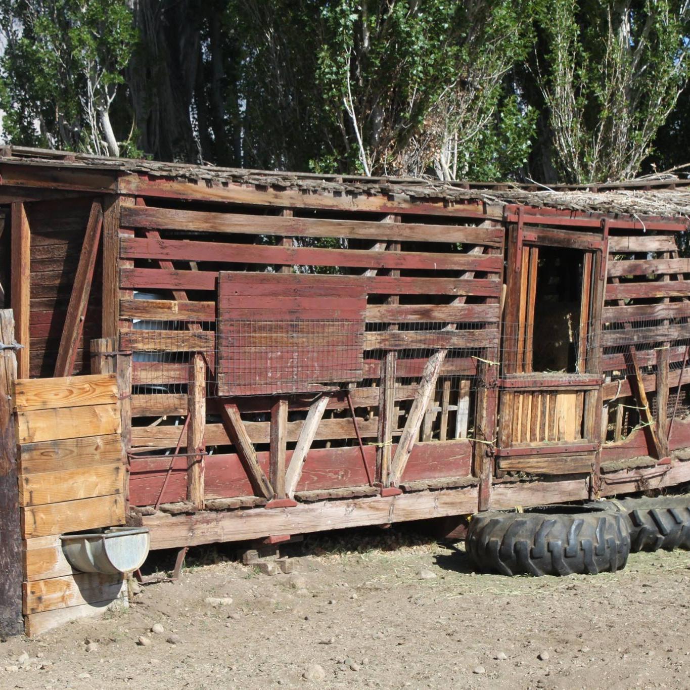 Stock Car #178 on a farm.