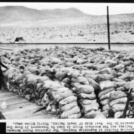 Man [G.B. Harney?] inspecting sacks of magnesium ready for shipment at Magnesium Station near Death Valley, ca.1924-1926