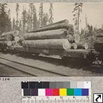 Car used by Madera Sugar Pine Company. Showing absence of bunks and use of chains. 1923.