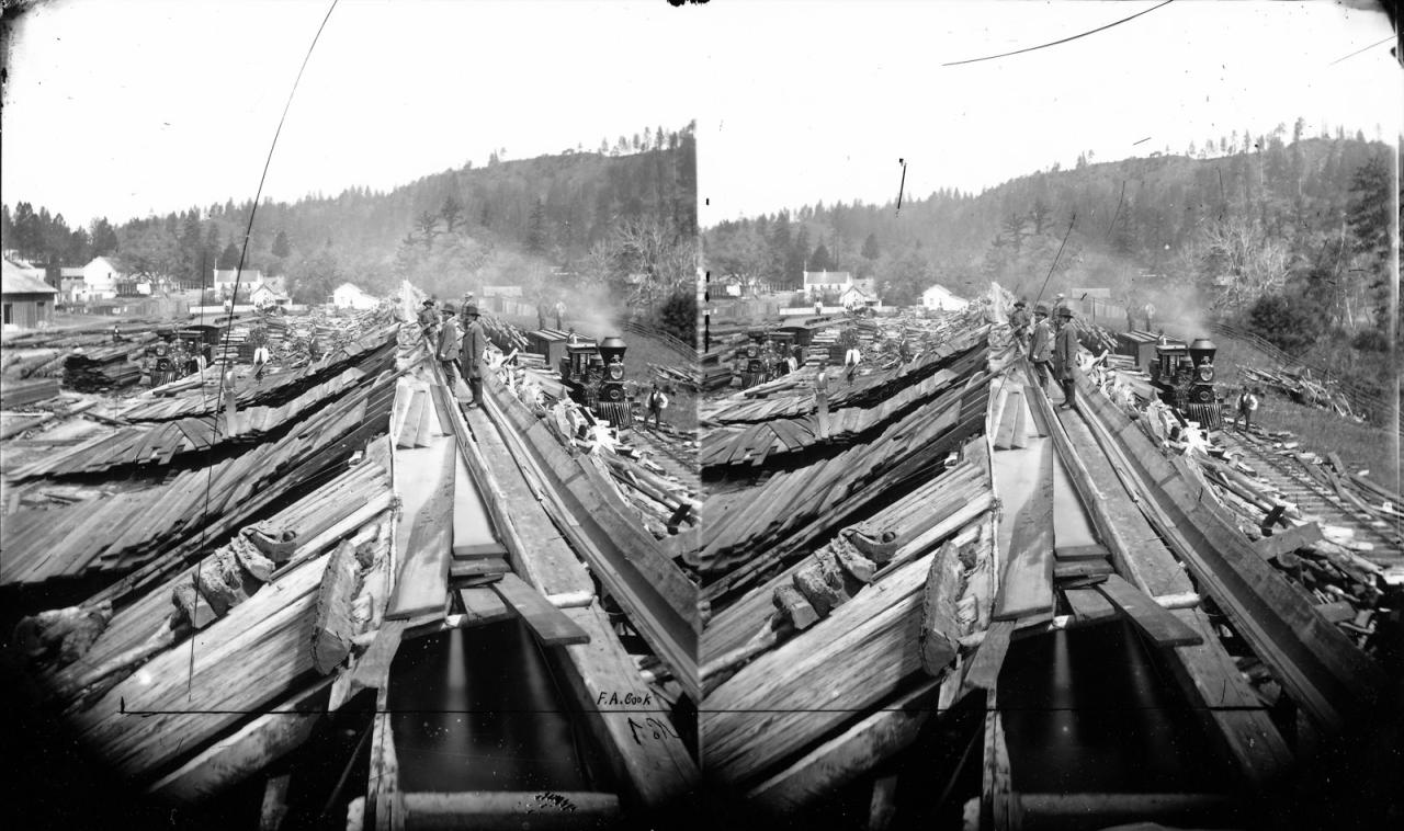 Wood yard at Felton, circa 1878. Alt View.