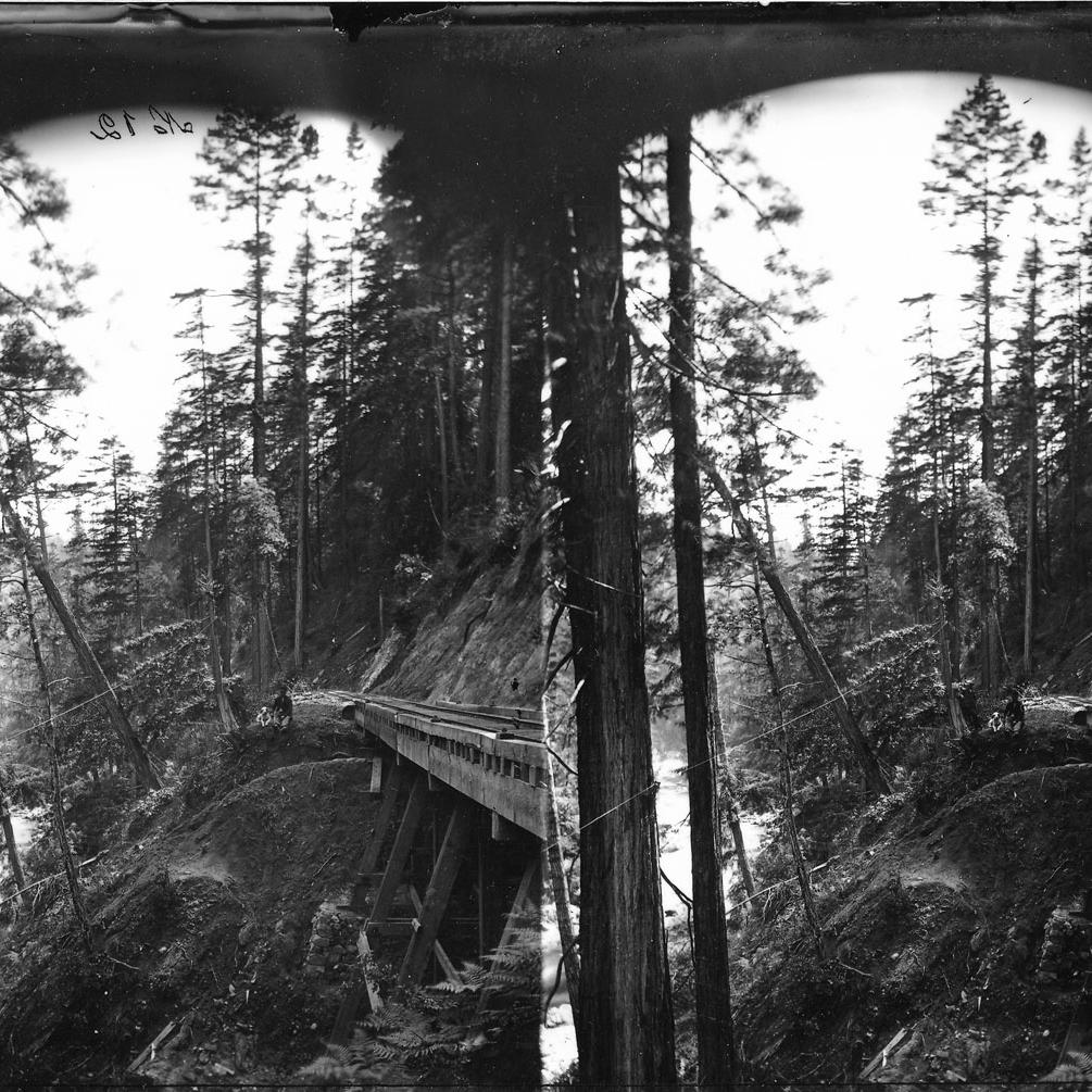 Trestle in the San Lorenzo river canyon.