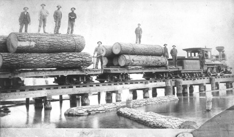 "Santa Cruz" at the wharf in Bijou.