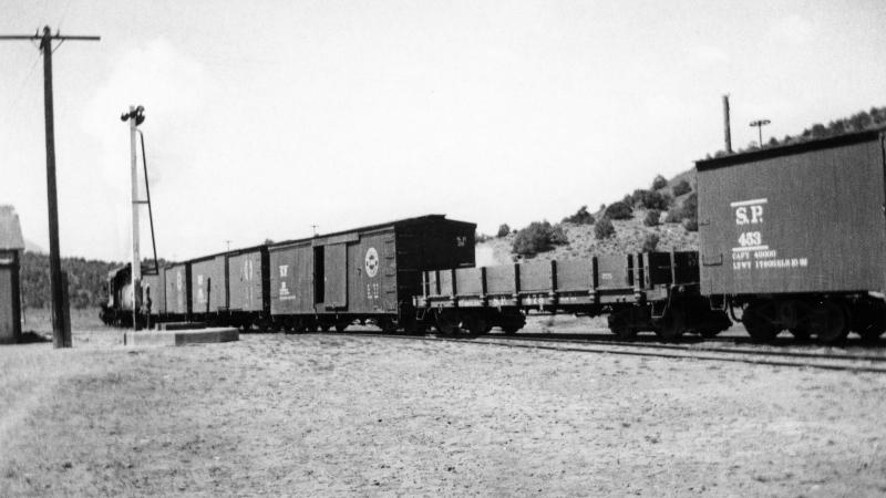 no9-with-train-at-mt-montgomery