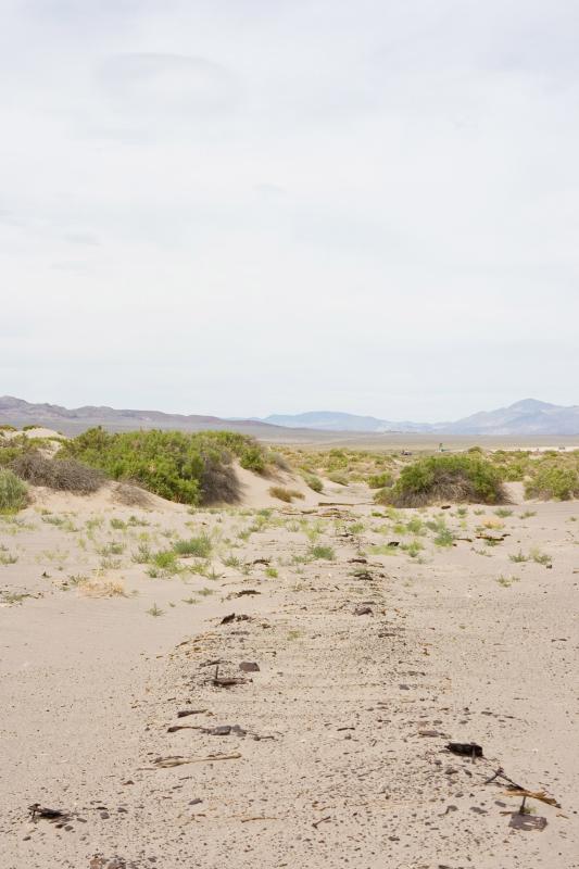 Tonopah-Jct-Looking-N-05-2015