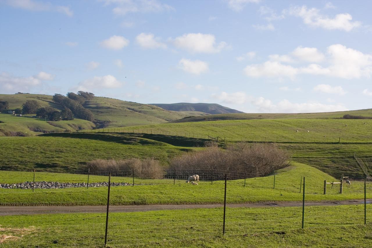 Tomales-Grade