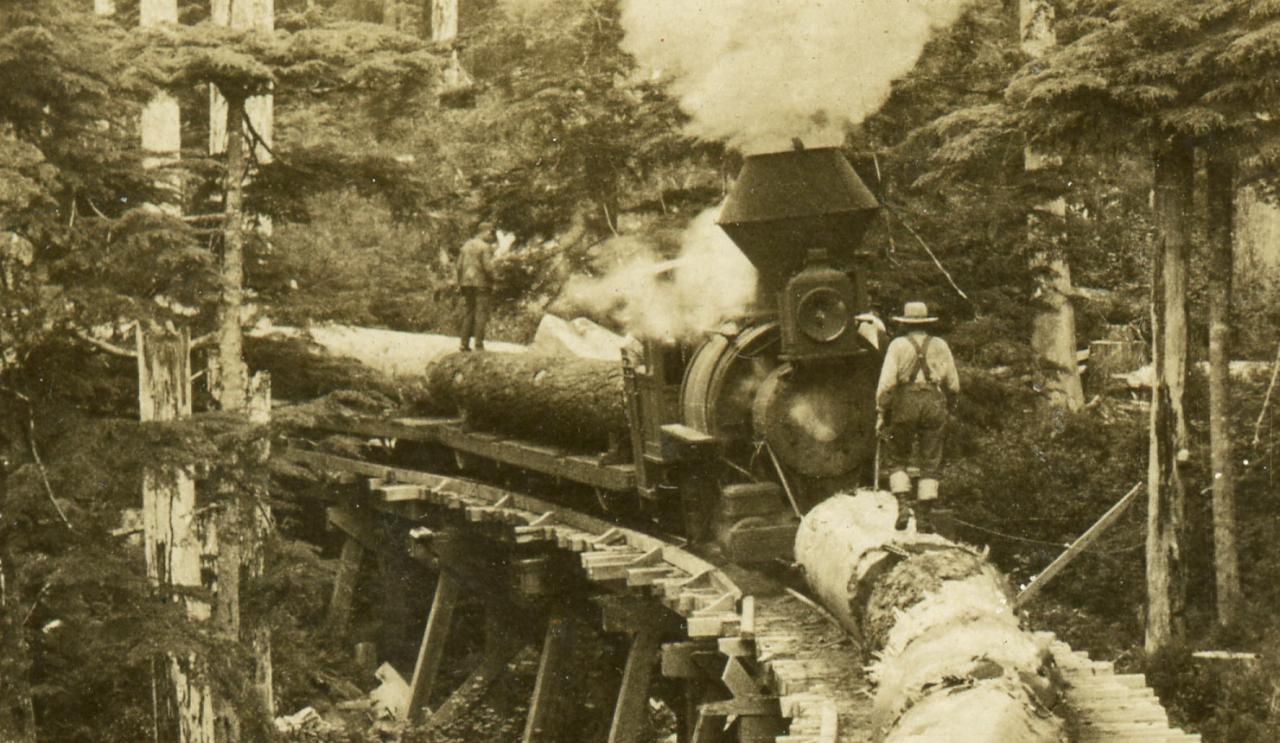 Crop of "Mountaineer" from Keystone Stereoview #