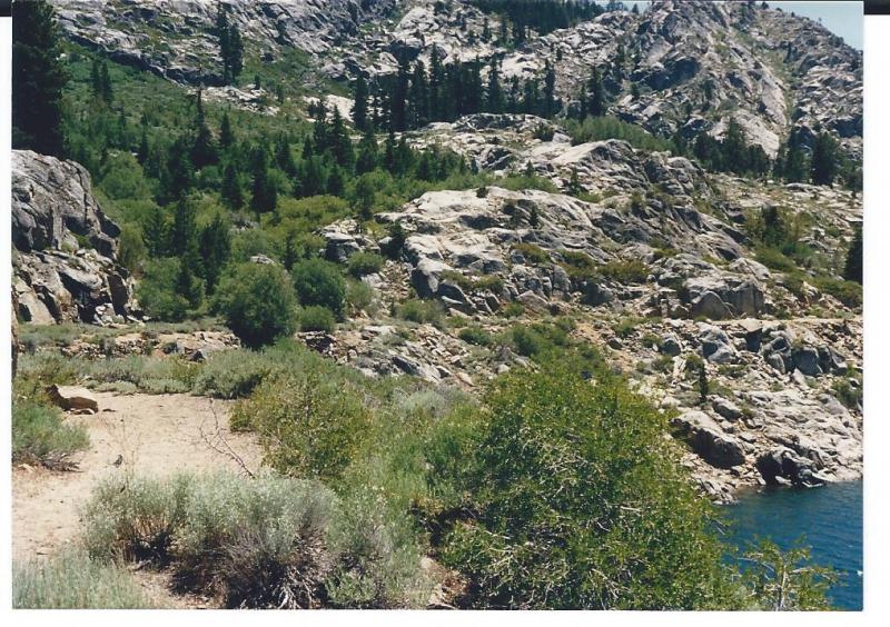 Relief Dam ROW along Lake