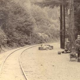 Excursionists waiting to be picked up at Taylorville on the NPC