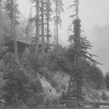 Rails in Bohemian Grove