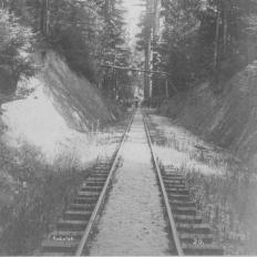 Approaching Big Trees Depot