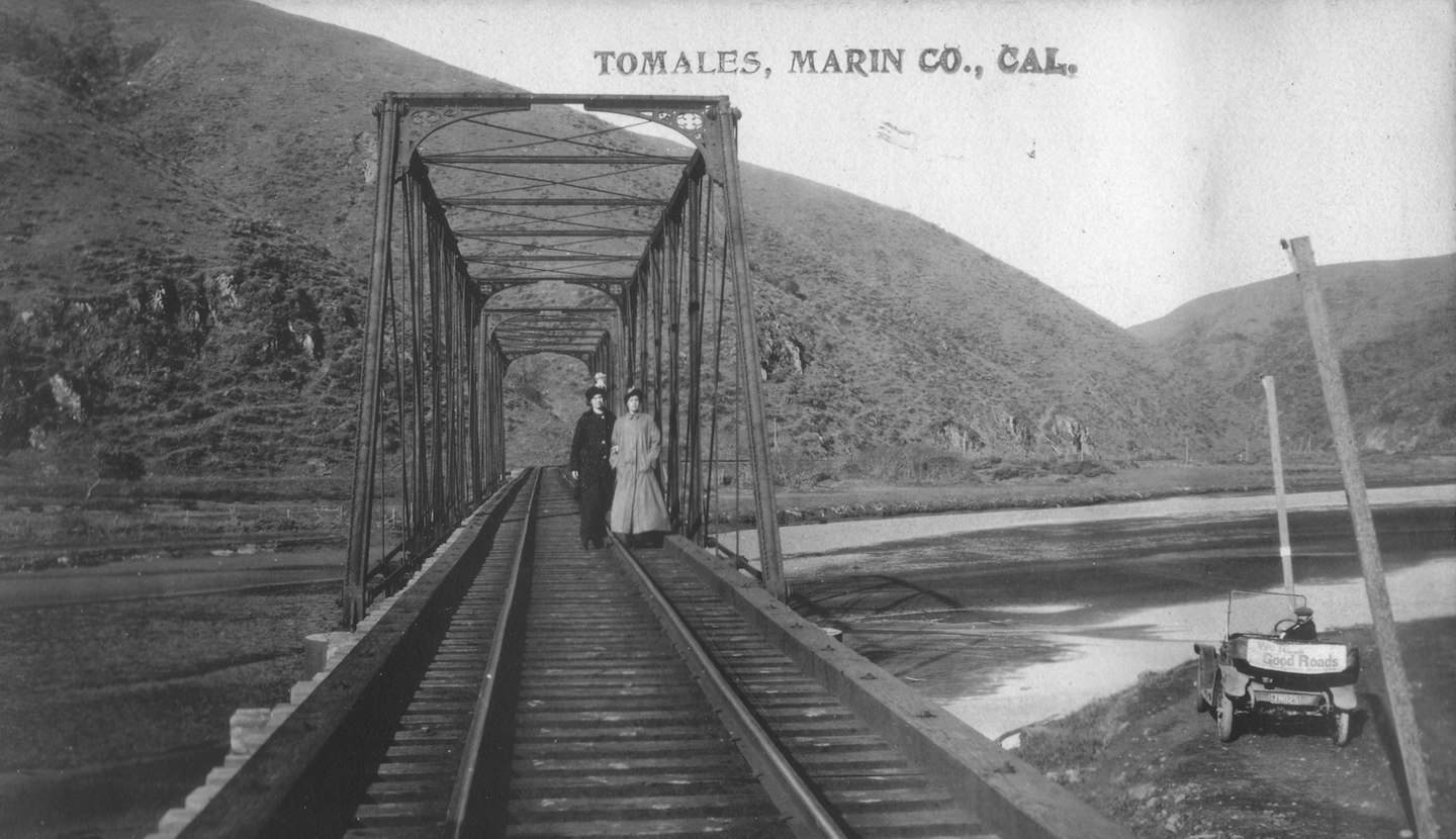 Ocean Roar trestle head on0457