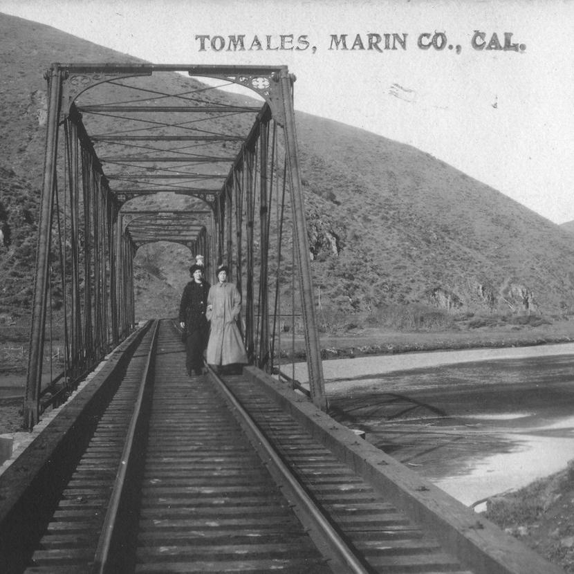 Ocean Roar trestle head on0457