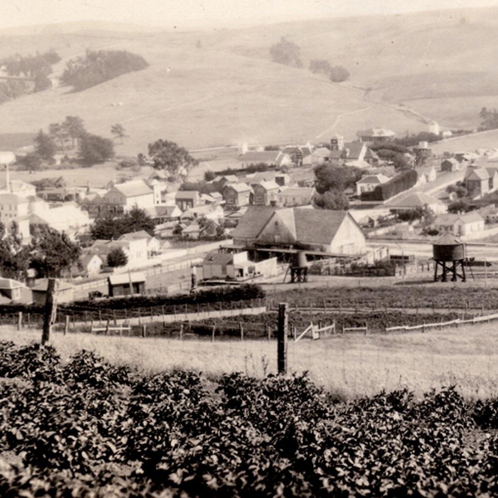 RR yard Tomales view SE