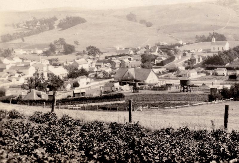 RR yard Tomales view SE