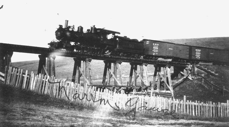 Train crossing DB Road Tomales Ella