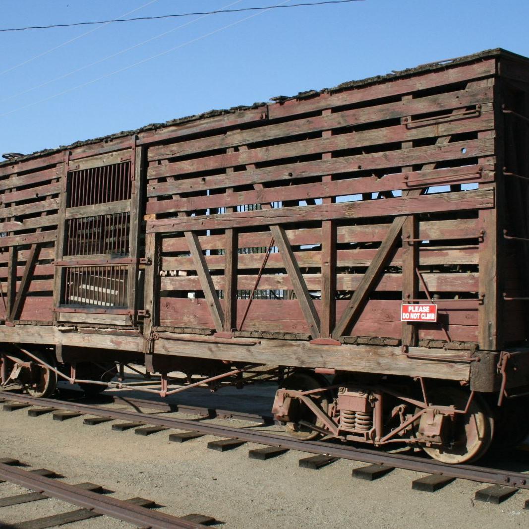 Freight Equipment