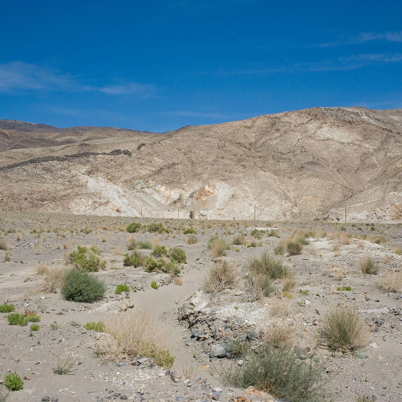 Distant view along siding
