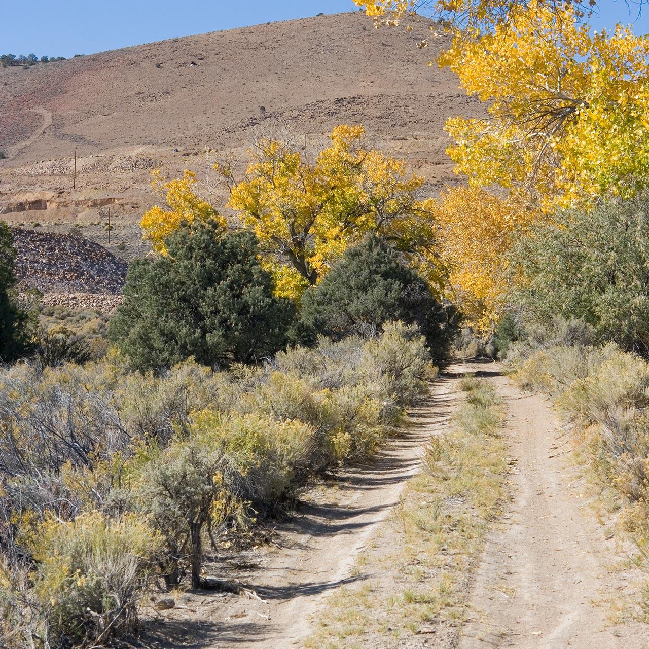 Mound House, NV