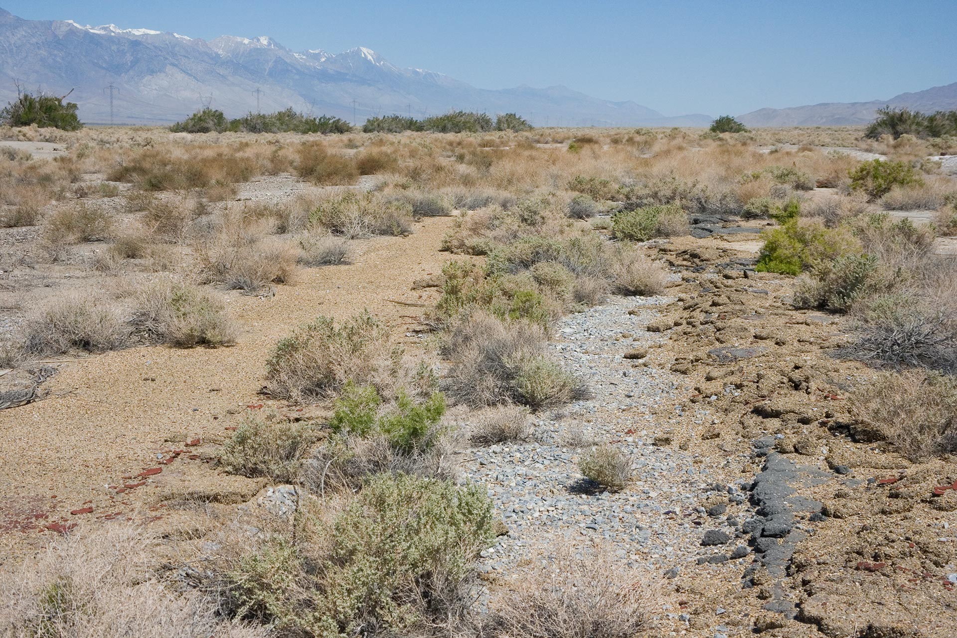 owenyo-rip-track-looking-north