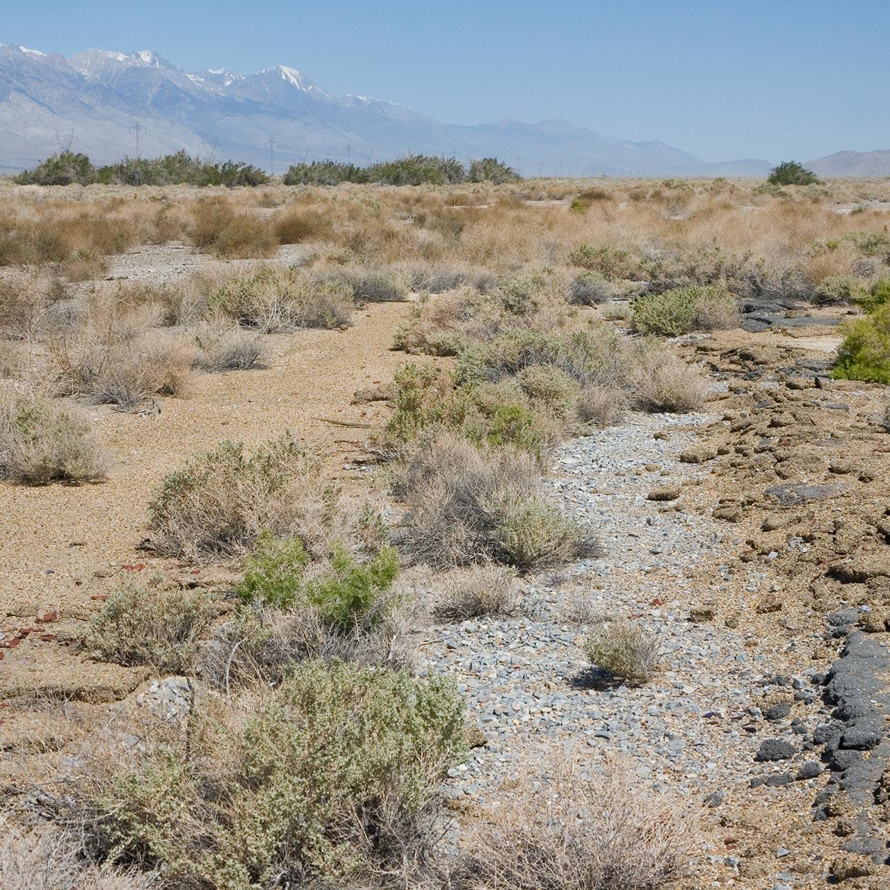 owenyo-rip-track-looking-north