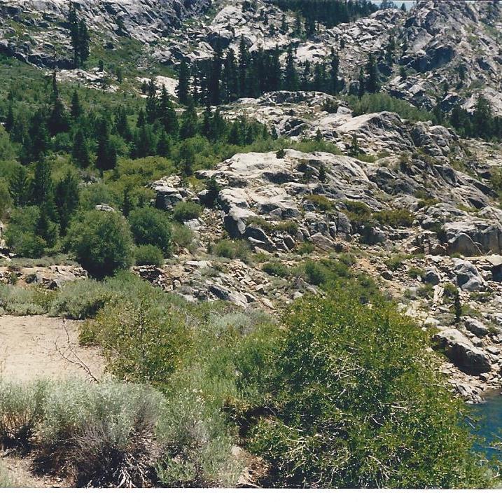 Relief Dam ROW along Lake