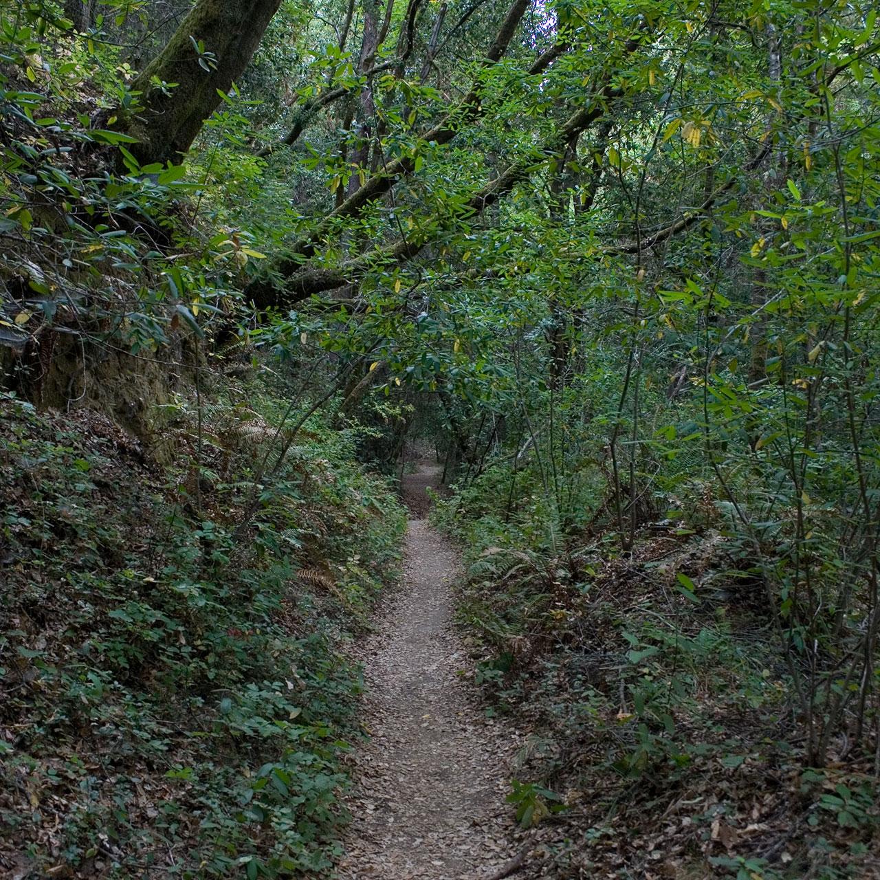 Looking-North-Toward-Trestle-Loc