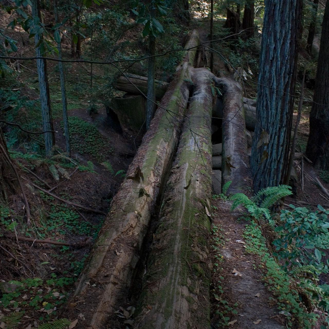 Top-of-trestle-below-camp-4