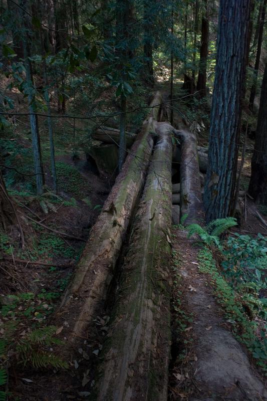 Top-of-trestle-below-camp-4