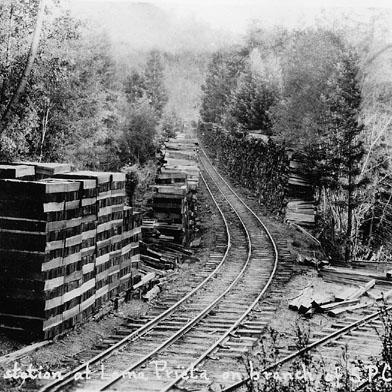 View of junction near Loma Prieta mill.