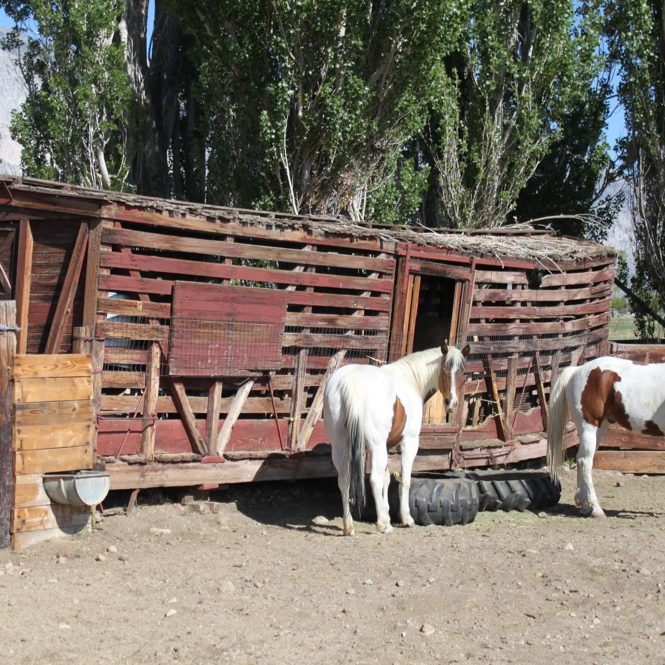 Stock Car #178 and companions.