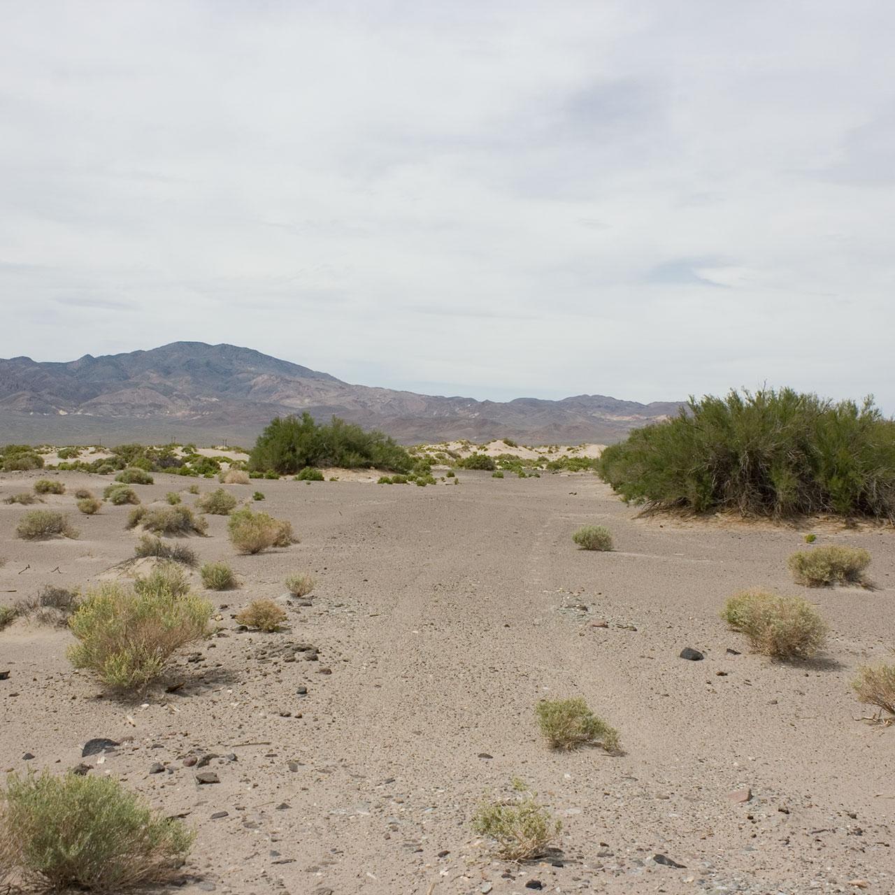 Tonopah-Jct-TG-Towards-Jct