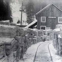 Stacks of wet pulp line path to Alaska Pulp and Paper Co. building, ca. 1920.