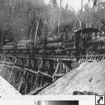 Logging train mid 1880s