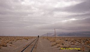 59-39-Train-Vanishing-North -Kearsage-V 2.jpeg