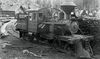 ARL&L HP Livermoore Pino Grande PacificNG Collection 1900.jpeg